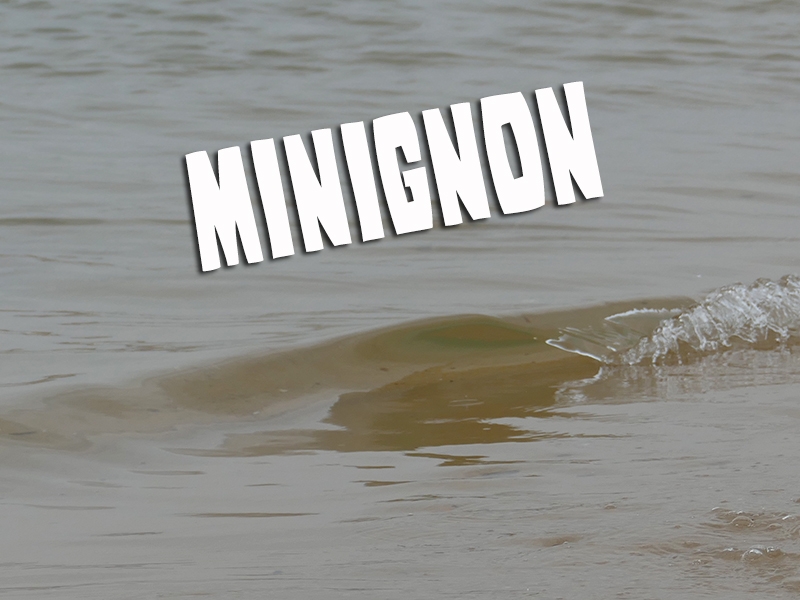 13/06/15 - MINIgnon