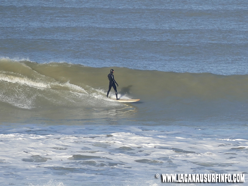Jour de Surf | 17/02/16