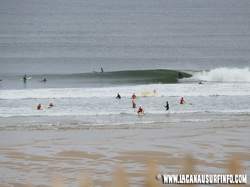 Surf Alerte 24/05/16
