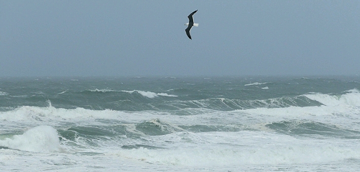 Lacanau Surf Report Vidéo - Lundi 06 Mars 11H30