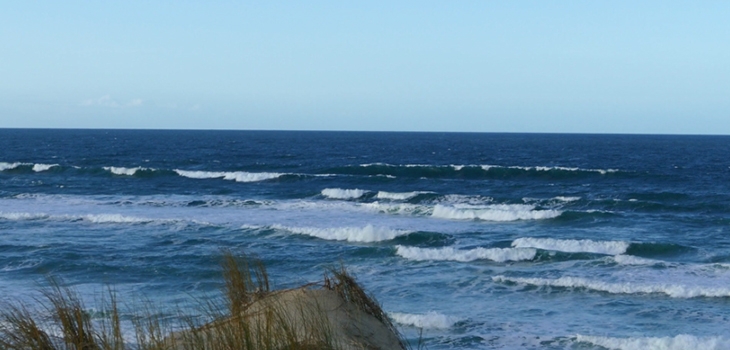 Lacanau Surf Report Vidéo - Mercredi 10 janvier 11H30