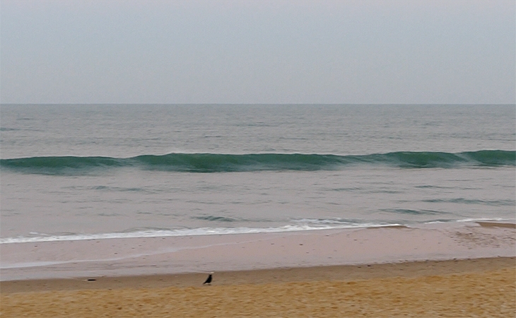 Lacanau Surf Report Vidéo - Dimanche 23 janvier 8H30