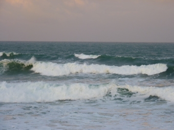 SURF CENTRALE - 21.02.2011