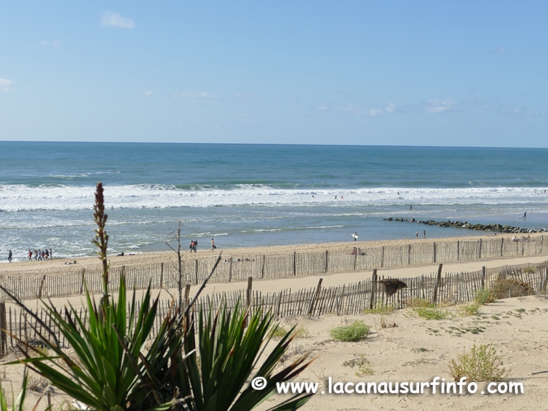 Lacanau Surf Info : bulletin météo plage du 23/09/2023 à 18h