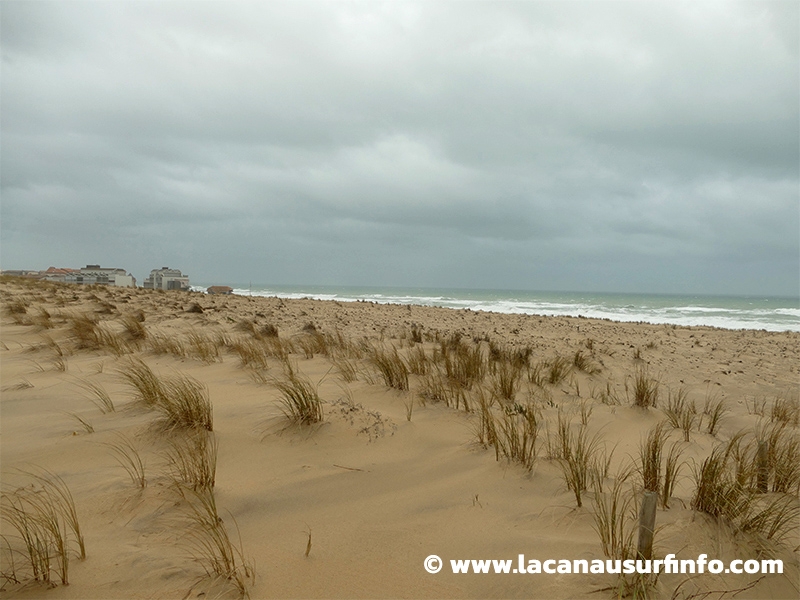 Lacanau Surf Info : bulletin météo plage du 01/03/2024 à 9h