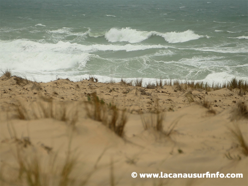 Lacanau Surf Info : surf report du 01/03/2024 à 9h