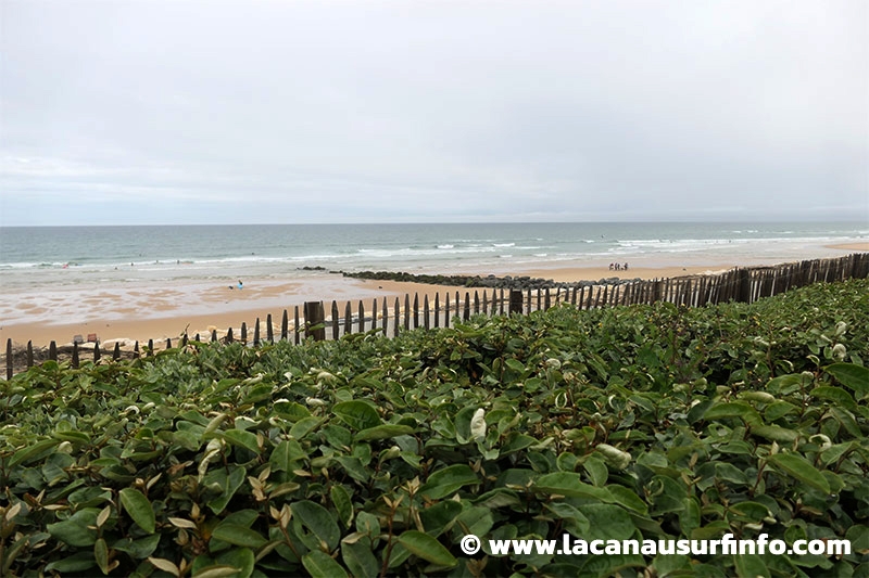 Lacanau Surf Info : bulletin météo plage du 04/05/2024 à 13h