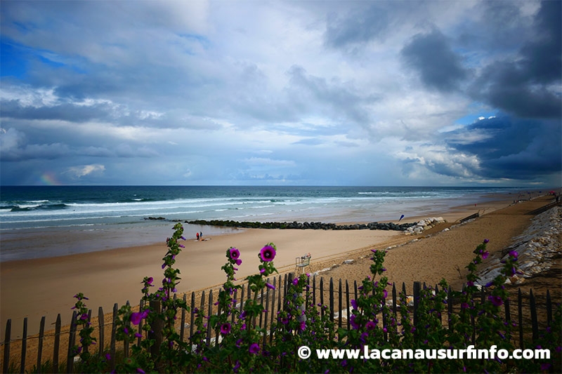 Lacanau Surf Info : bulletin météo plage du 23/05/2024 à 9h