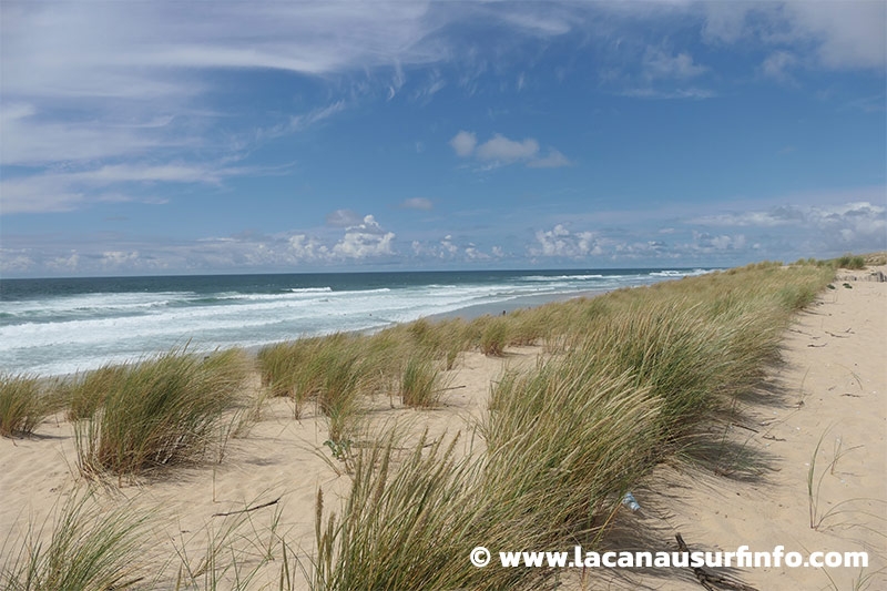 Lacanau Surf Info : bulletin météo plage du 23/05/2024 à 18h