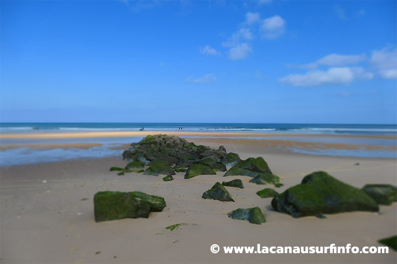 Lacanau Surf Info : bulletin météo plage du 03/06/2024 à 13h