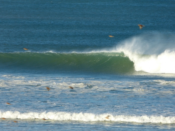 Bilan Surf Octobre 2013