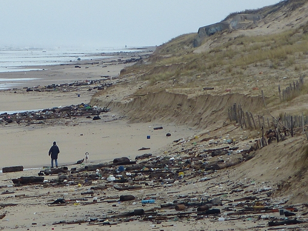 Nettoyage des plages mardi 11 mars