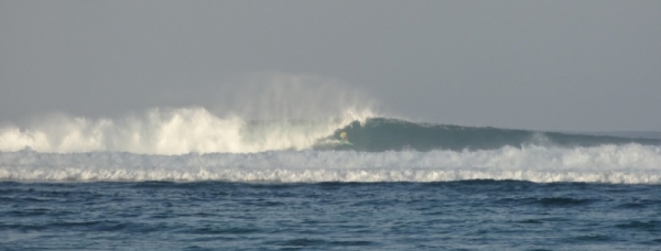 TDMS #2 : la côte ouest de Sumbawa