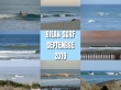 Bilan Surf Septembre 2019