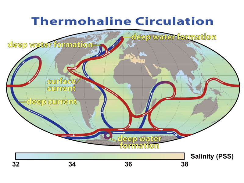 circulation thermohaline