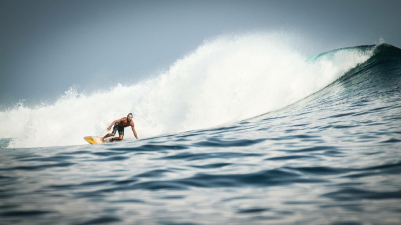 wisesa surf charters indonésie