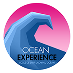 ecole de surf ocean experience