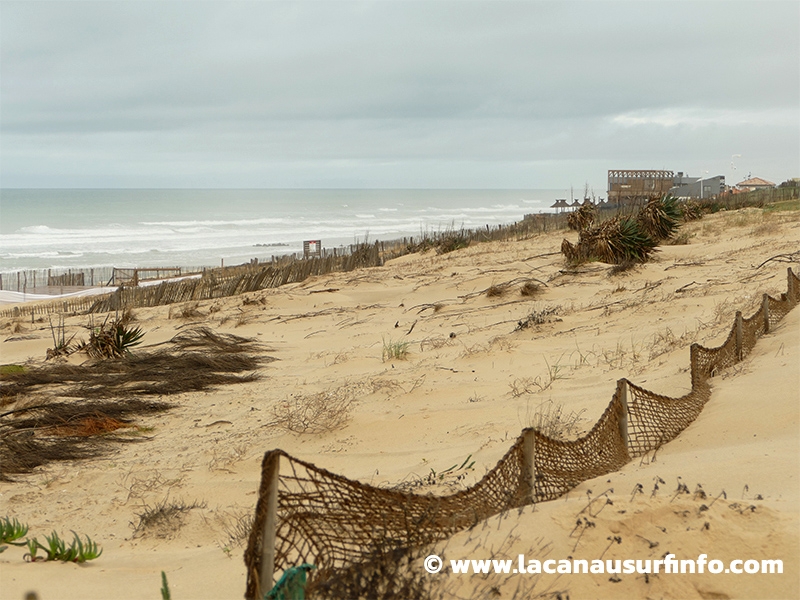 Lacanau Surf Info : bulletin météo plage du 29/02/2024 à 13h
