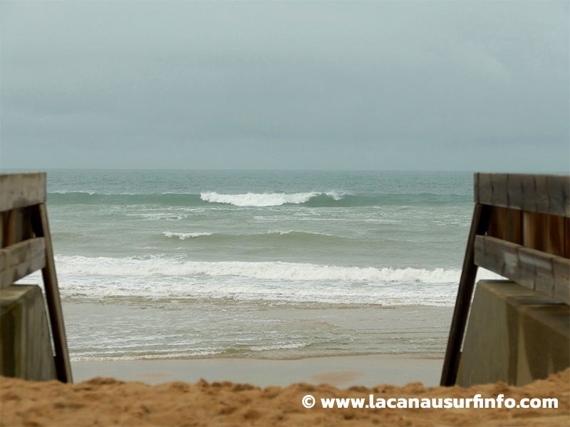 Lacanau Surf Info : surf report du 29/02/2024 à 13h